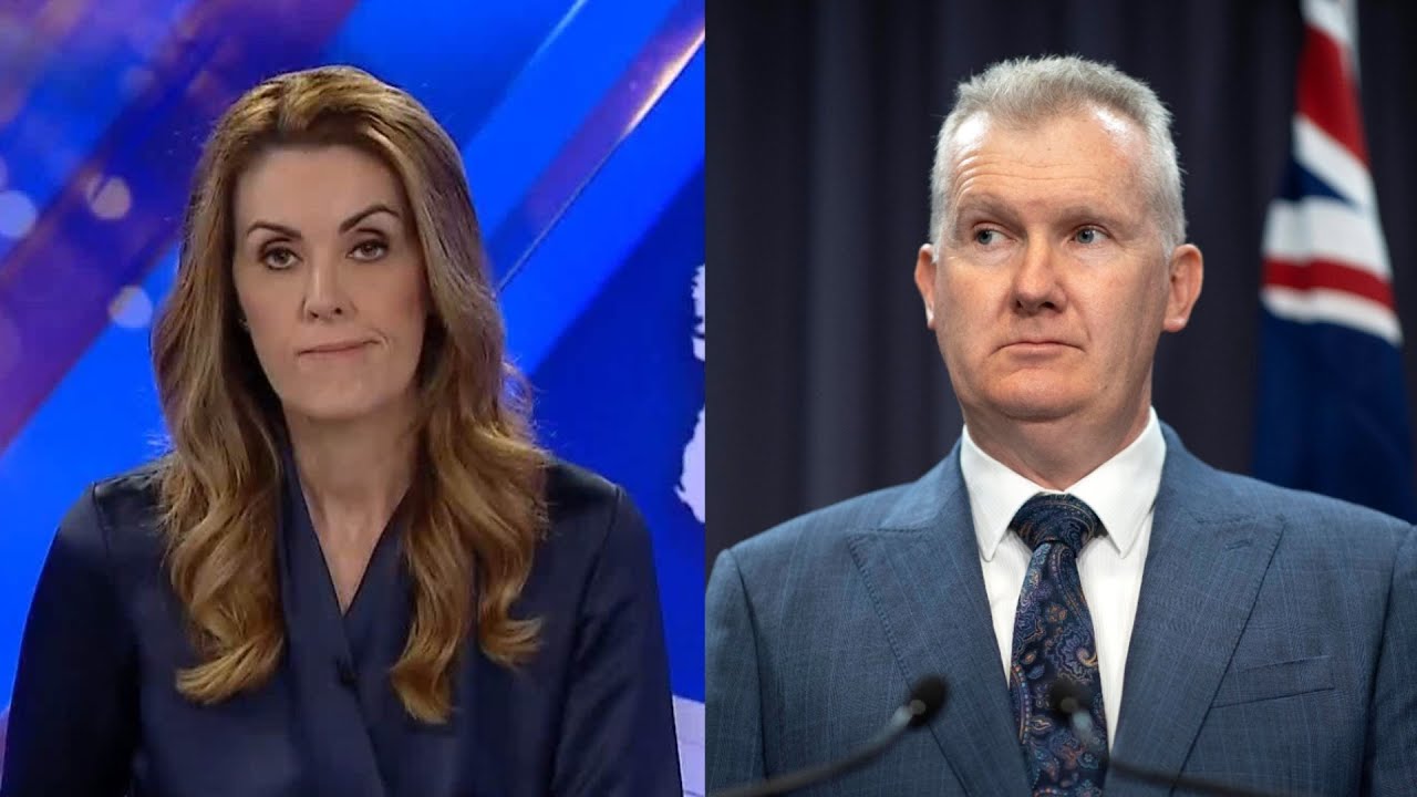 ‘No process they won’t abuse’: Tony Burke conducting mass citizenship ceremonies for votes