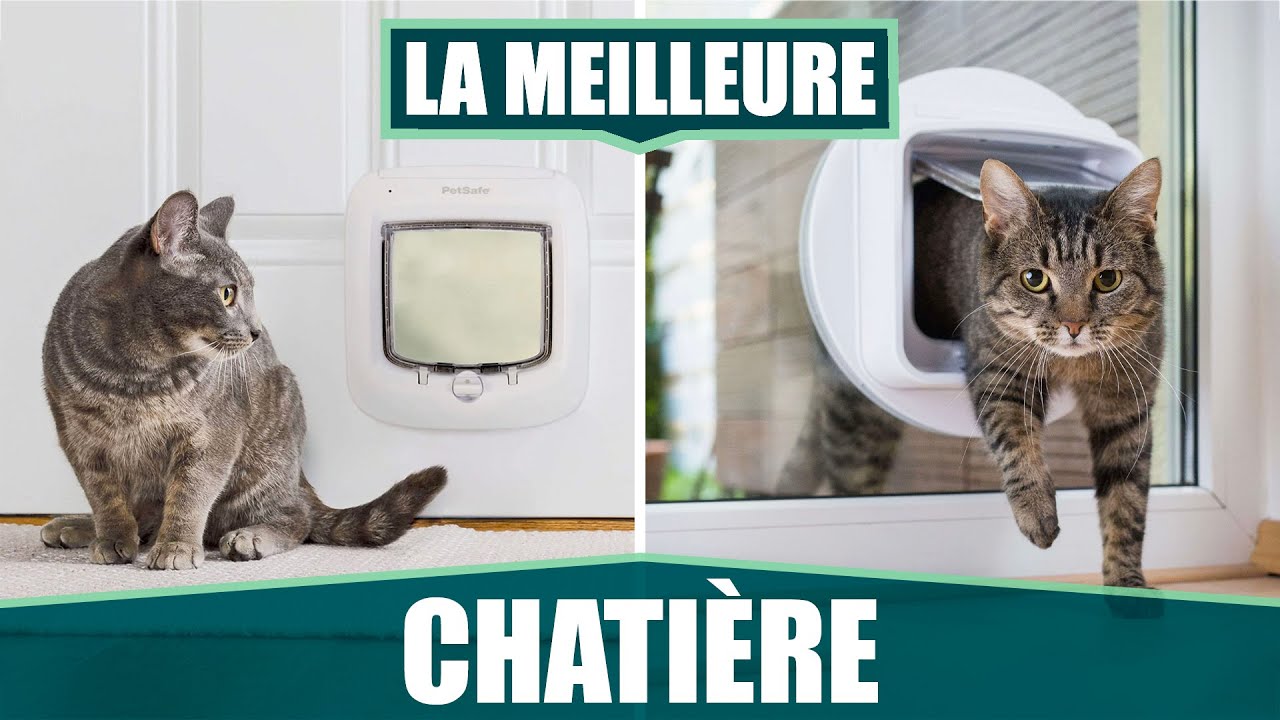 Chatière PetSafe avec puce électronique