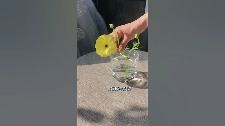 答應我一定要看到最後哦需要您的意見！ - 天天要聞