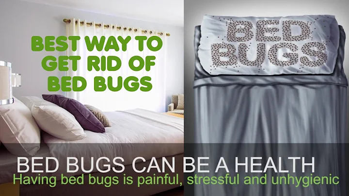 BEST WAY TO GET RID OF BED BUGS - TIPS FOR BED BUG TREATMENT LONDON UK - EXTERMINATORS PEST CONTROL