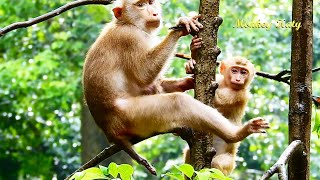 After Rain Go Aways, Cute Amanda Climbing Tree To Hug Bb Rainbow
