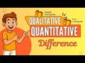 Qualitative vs Quantitative Understanding the Difference Between Qualitative and Quantitative