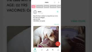 Let It Wag App- Directory Services screenshot 2