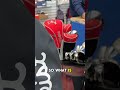 PAWN SHOP MANAGER WAS WAITING FOR US…