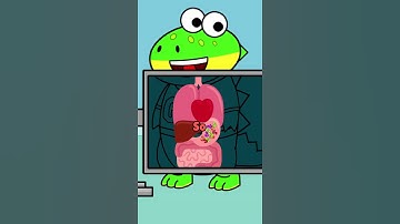 How do you digest Gummy Worms?