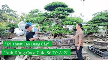 Anh Dũng Coca hướng dẫn kỹ thuật tạo dáng cây cảnh từ A–Z cho người mới chơi| Việt Nam hương sắc