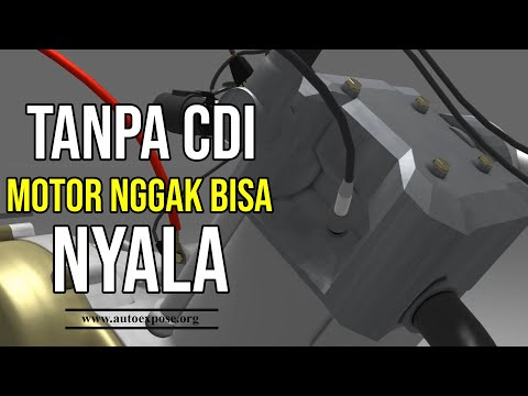 Video: Adakah cdi prestasi berfungsi?