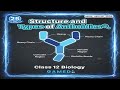 Structure and Types of Antibodies Day-25 40 days 40 sureshot topics #class12biology #boardexam2026