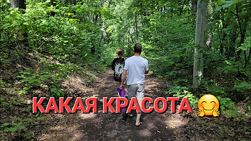 ГОТОВЛЮ ЛЕГКИЙ СУПЧИК 🥘 / ГУЛЯЕМ В ЛЕСУ 🌳🌿 / ОЗ. ПАРШИНО В САМАРЕ / СЕМЬЯ ИЗ САМАРЫ
