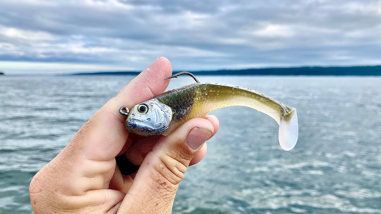 Deep Jigging Swimbaits + SCARY Invasive Species Catch 