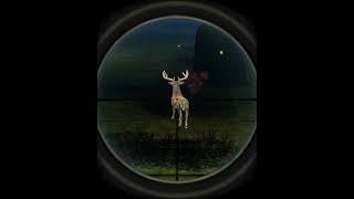 Animal Hunting Sniper Shooter - Android GamePlay / Ios GamePlay screenshot 4