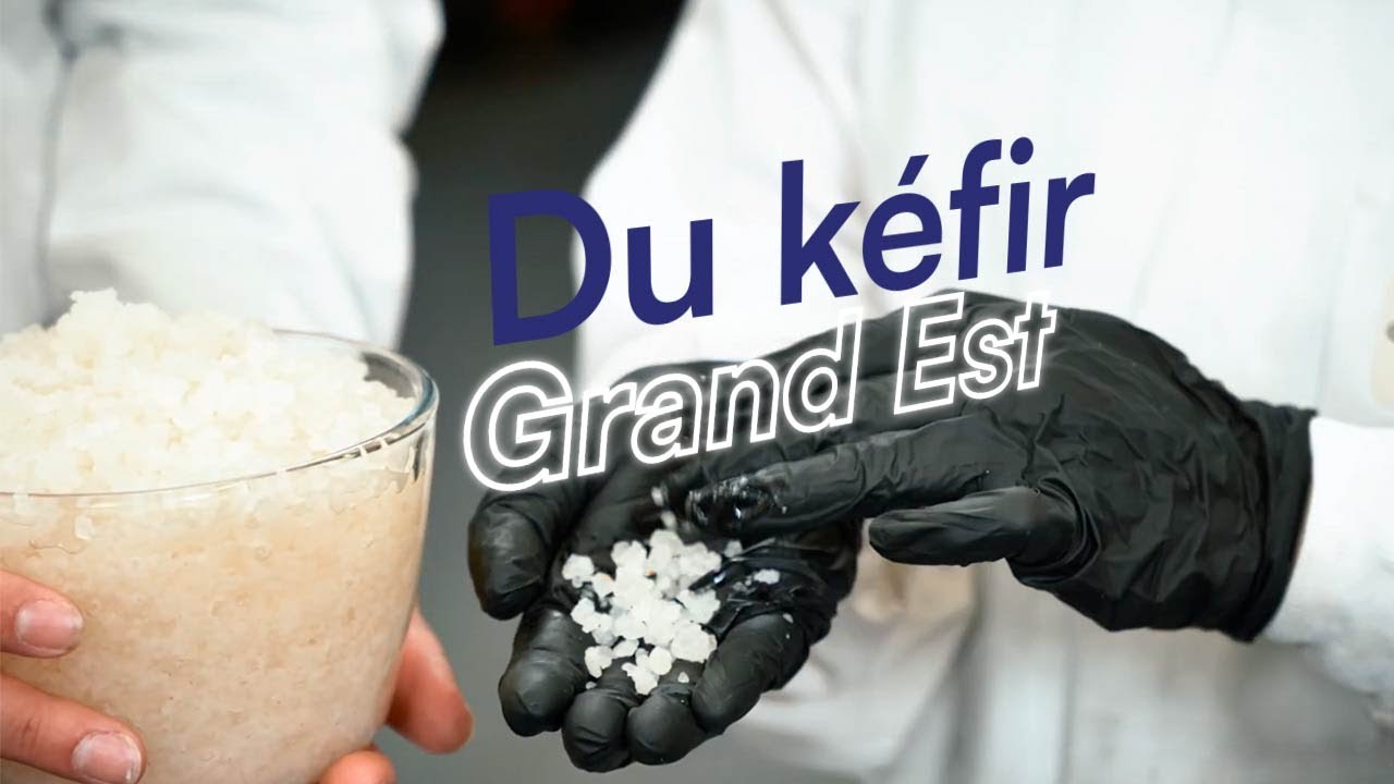 Une usine de kéfir de fruits dans le Grand Est !