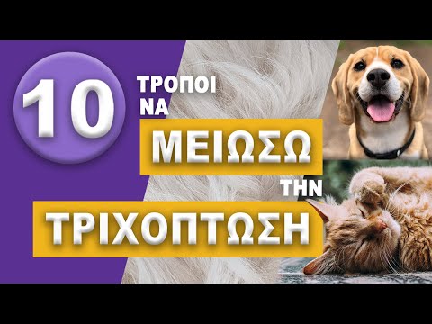 Μπορώ να Μειώσω την Τριχόπτωση?