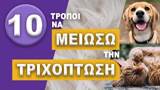 Μπορώ να Μειώσω την Τριχόπτωση?