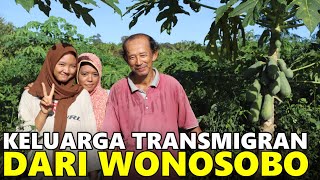 KOLABORASI ISTRI & ANAK MEMBANTU PAK NURYONO, TRANSMIGRAN WONOSOBO BERTANI DI PEMUKIMAN TRANSMIGRASI