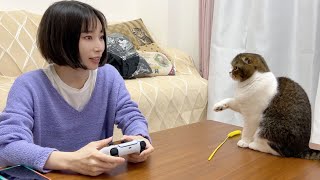 絶対遊んで欲しい猫 VS 絶対ゲームをしたいママ【APEX】