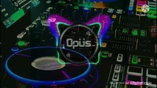 dj aca aca nehi nehi remix full bass