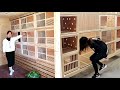 New Pigeon house design 🏠 Modern pigeon loft building ideas 🕊️ Simple pigeon loft design