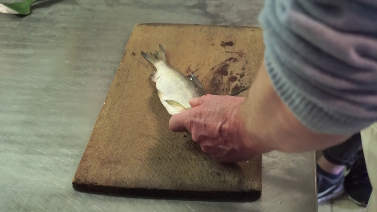 Filetieren einer Renke