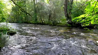 Tranquil River Stream in Sunlit Forest (4K UHD) | Gentle Water Sounds, No Birds, 10H White Noise. thumbnail