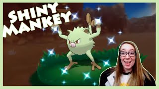 DexNav Shiny Hunting - Mankey! Pokemon Alpha Sapphire [Twitch Highlight]