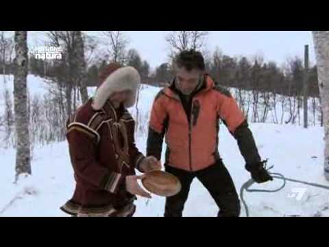Video: Vitello Bianco Raro Della Renna Fotografato In Norvegia