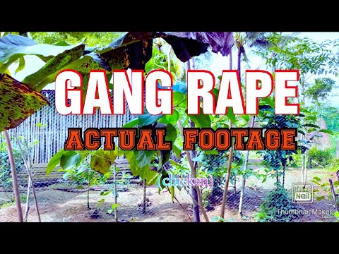 GANG RAPE ACTUAL FOOTAGE ( chicken )