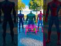 Spiderman & Hulk & Black Spider Choose Head Finish