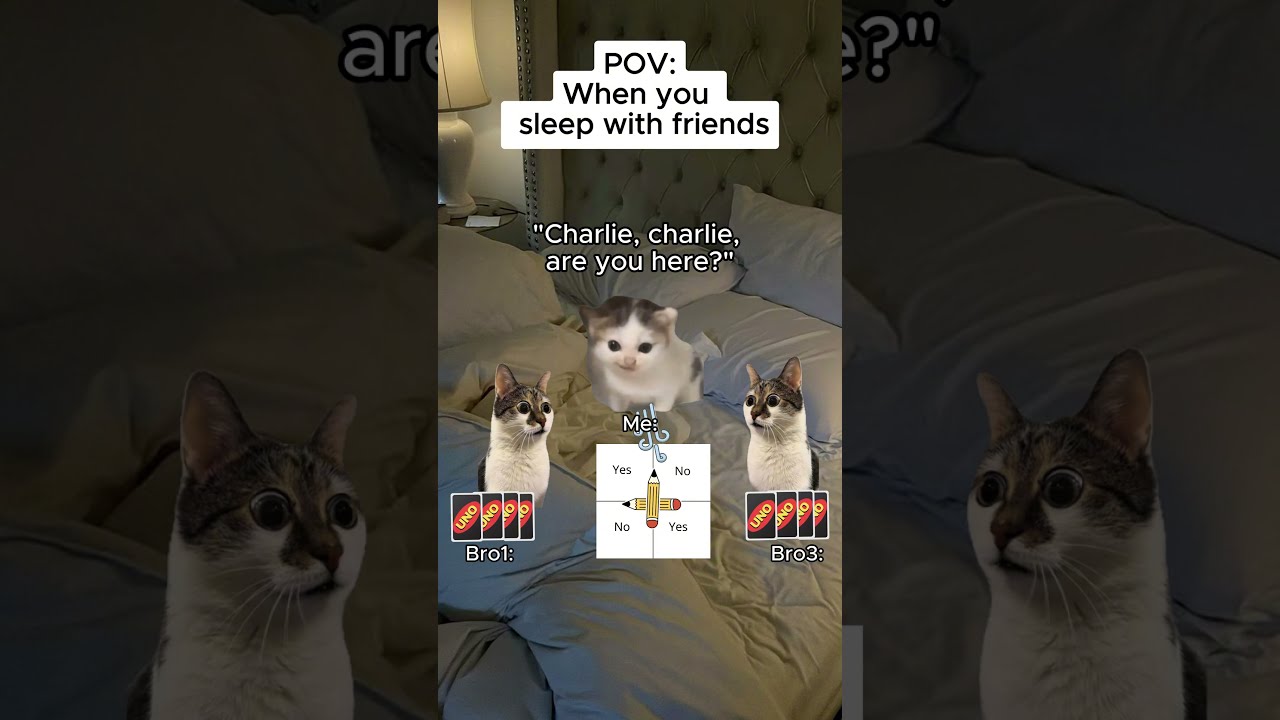 CAT MEMES When You Sleep With Friends Shorts Catmemes Relatable