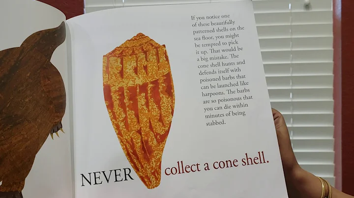 Never smile at a monkey