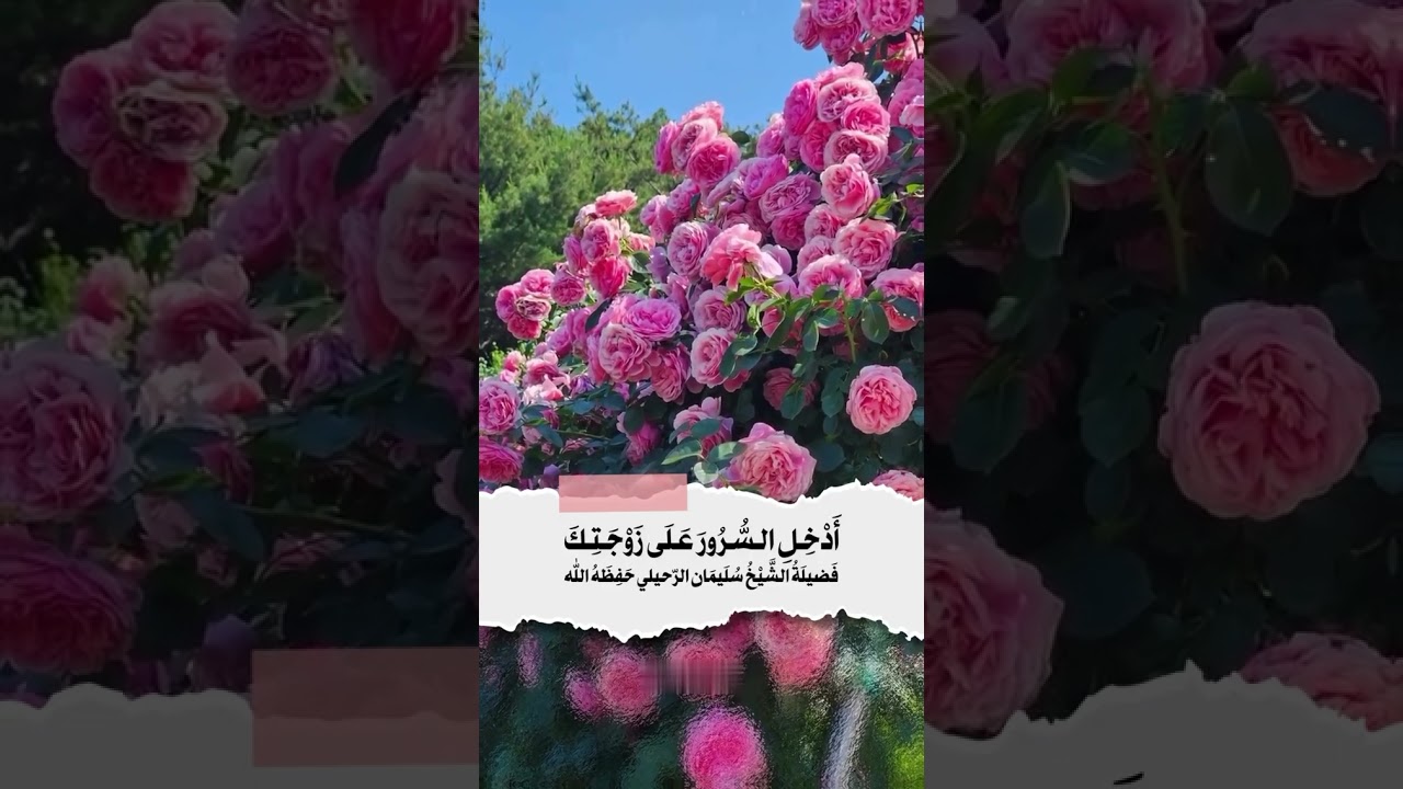 أدخل السرور على زوجتك . الشيخ.أ.د. سليمان بن سليم الله الرحيلي .