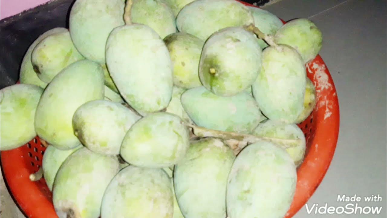 How to store mangoes in the fridge for pickling. YouTube