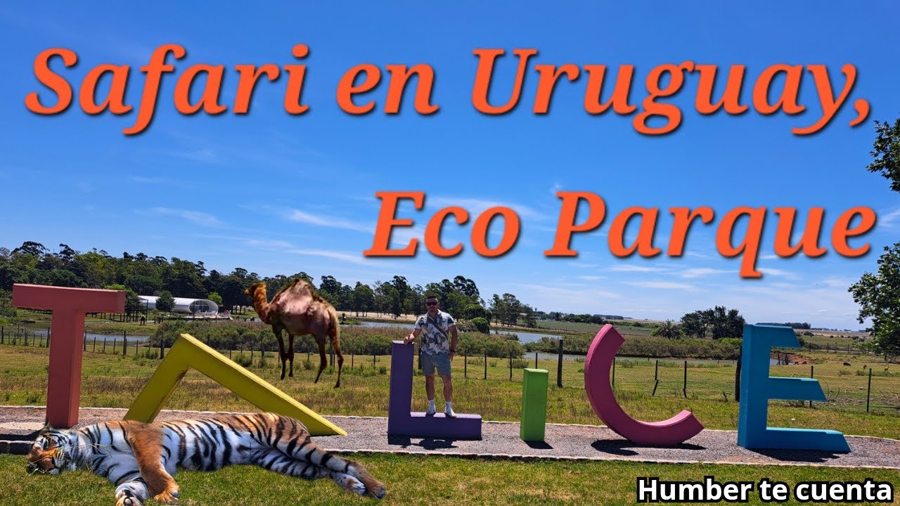 Safarí en Uruguay, Ecoparque TALICE. - YouTube