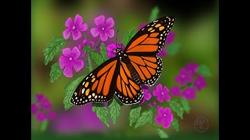 Painting In Procreate -Monarch Butterfly Digital Time Lapse