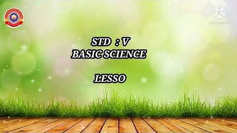 Standard 5 Basic Science Lesson 6 Part 5 A Little Effort, Lot of Work