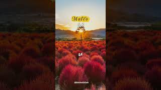 hoy el libro de Mateo.