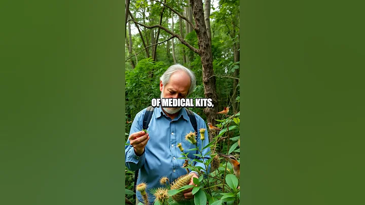 Mastering Emergency First Aid in Extreme Conditions