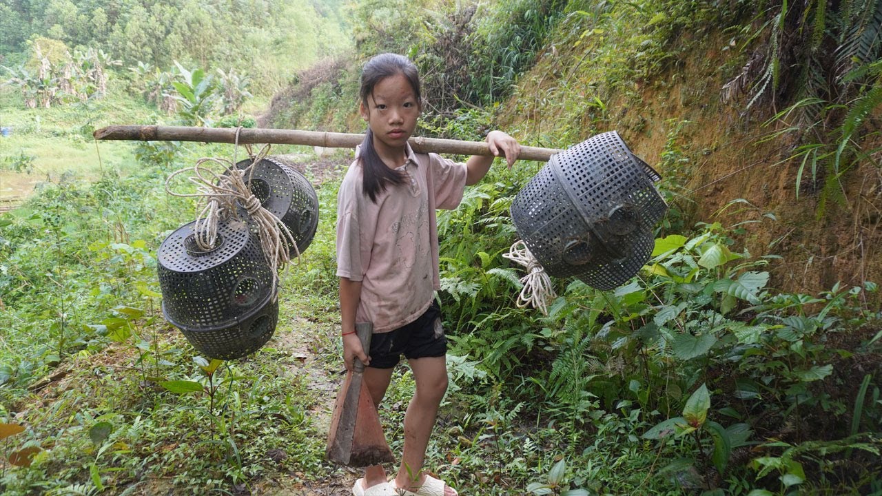 Catch fish with a bagua cage - Poor girl alone living off grid ...
