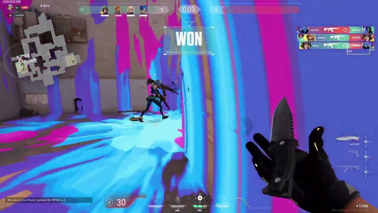 ma meilleure ennemie