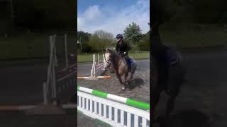 Archie clinics jumping and flatwork