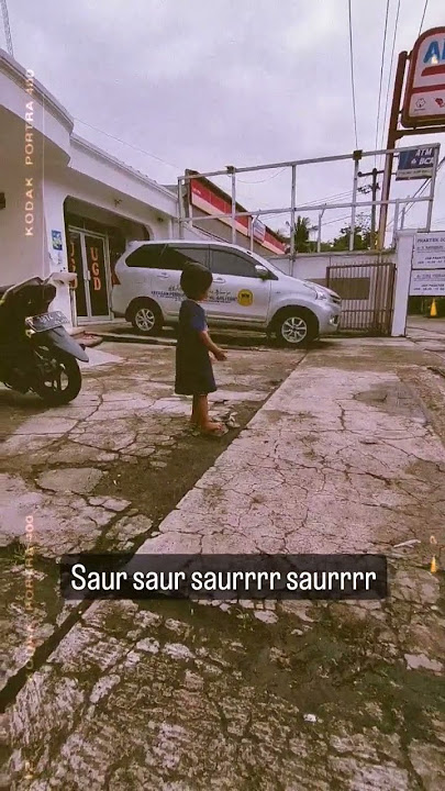 saurrrrtt