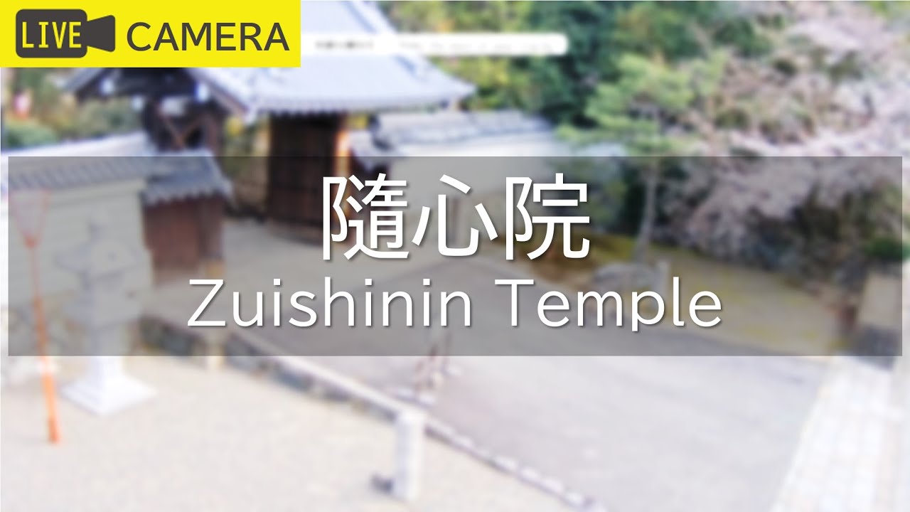 【LIVE】京都 随心院ライブ中継カメラ/Zuishinin Temple, Kyoto Live camera