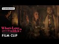 Rahat Fateh Ali Khan in WHAT&#39;S LOVE GOT TO DO WITH IT? | PVR Pictures