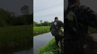Взял ультралайт на микроречку и пошла возня! Рыбалка на злых щук в июне 2025! #fishing#ультралайт