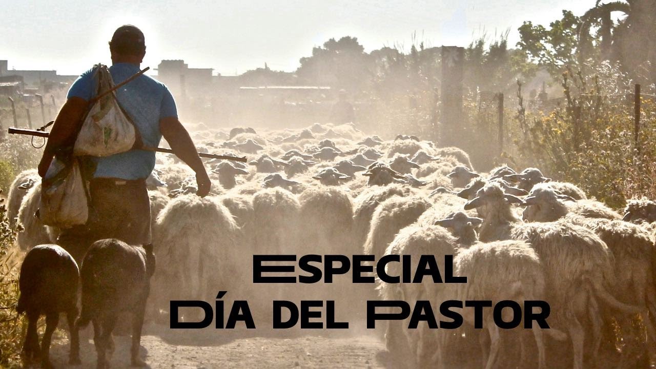 Servicio de Adoración | [28/09/2025] | IBJ