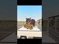 OIIA CAT Hitchhiker 🚚🐈️🌀 #gmod #shorts