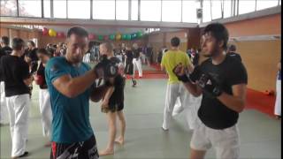 Hessenseminar JuJutsu 2014