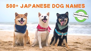 Top 500+ Japanese Dog Names (With Meaning) | Most Popular & Unique | Part 1/2