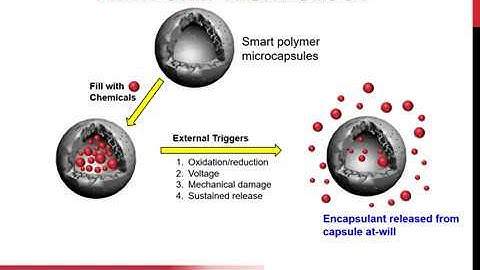 SAS Nanotechnologies Microcapsule Platform Technology