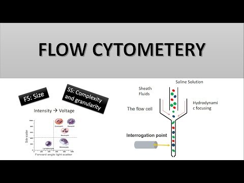 The Principle of Flow Cytometry and FACS (1- Flow Cytometry)